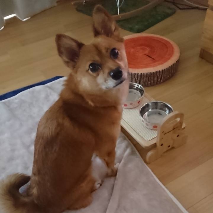 E1d30a4f b402 4308 86de cfad3cca579a 1538914080057