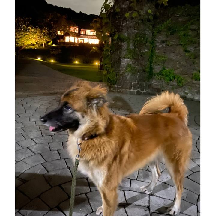 E1d313f0 f318 4374 98e0 68d266c906c1 1759143226383