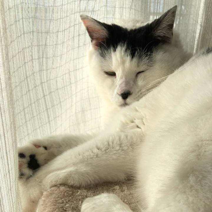 E1d3349d 421b 4cd9 a500 5f2e89f7d452 1546146322503