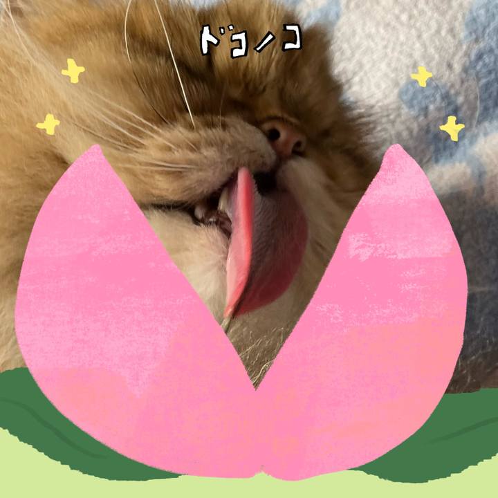 E1d3636b ff2c 42dc adac 9ba6d932306c 1772362931014