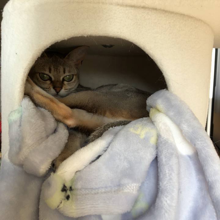 E1d3ab39 8fa5 4901 b0fd aedad705008b 1520145640524