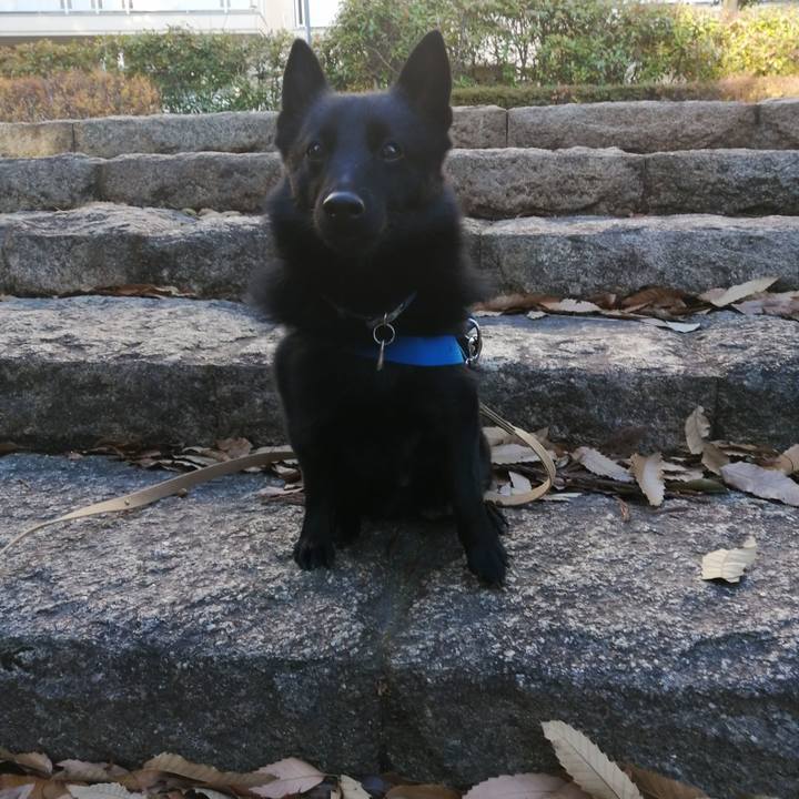 E1d3d7f8 fe02 4cf3 9c5e abbd366b54df 1609889400726