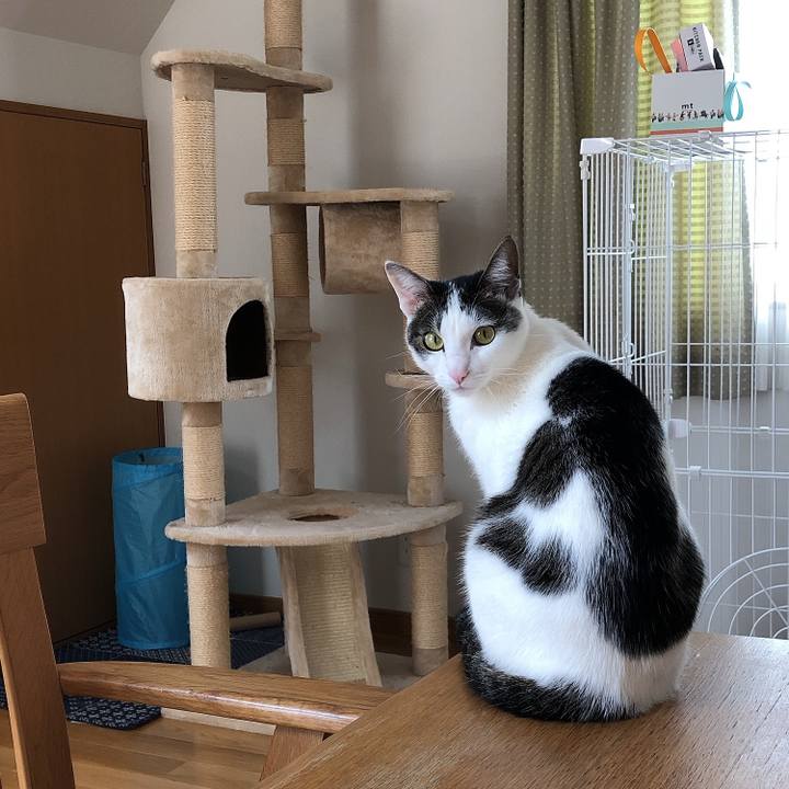 E1d3d8a6 a719 4efd ba0e f01311074e69 1618790970919