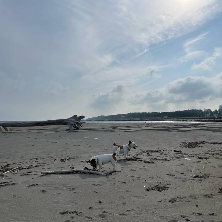 E1d4117a e191 4cea a8b1 525f073e2e38 1688340161292