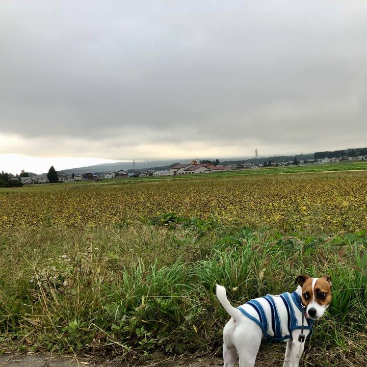 E1d436dc deb9 471f bd74 ab4cc8d6ccd7 1601880350513