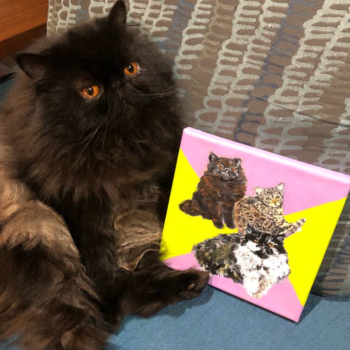 E1d447d7 06a0 4d3e 84fa e65244b1b6a8 1613898131122