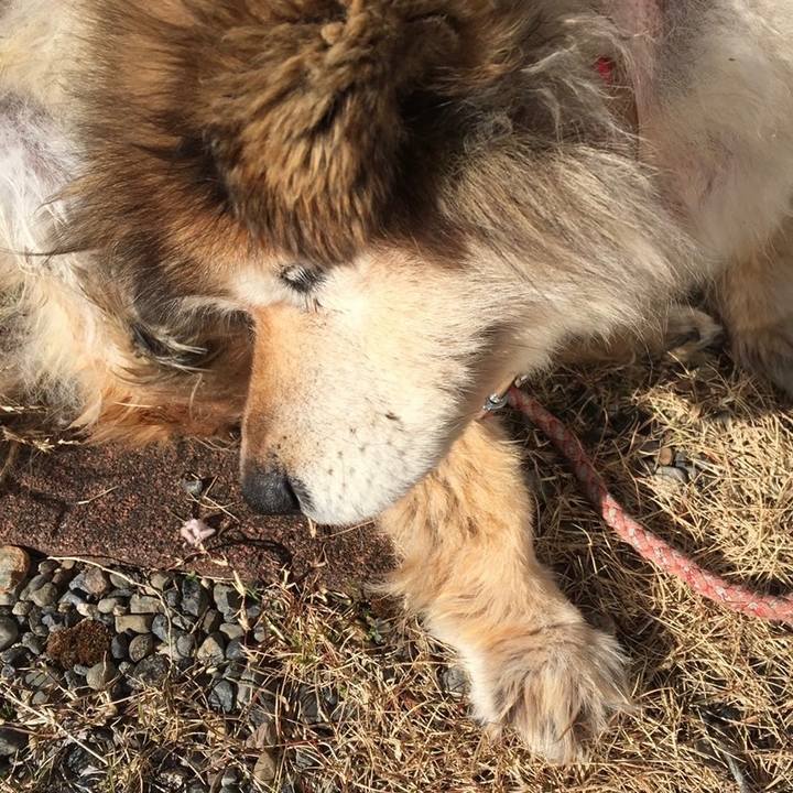 E1d45e3c d2eb 41af 8545 59a96bd0541f 1657258551929