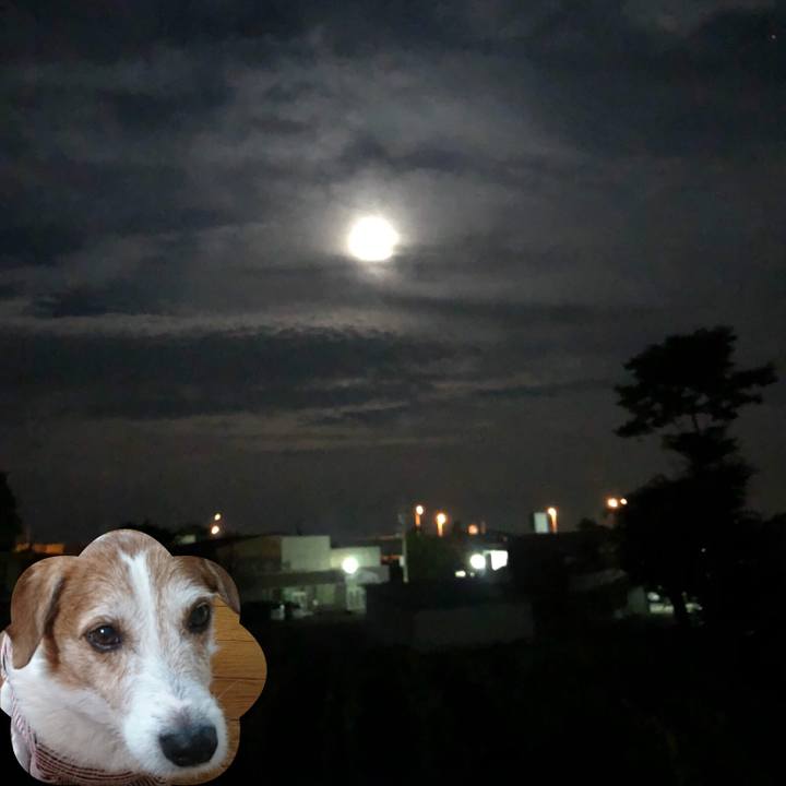 E1d4b8f8 b17d 47da a422 c8d3cbb22b3c 1532706324945