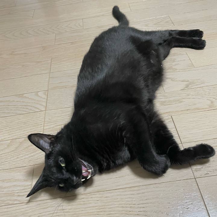 E1d4fbc1 1aa5 4f5e a96a 4eba1ad87db5 1724154673853