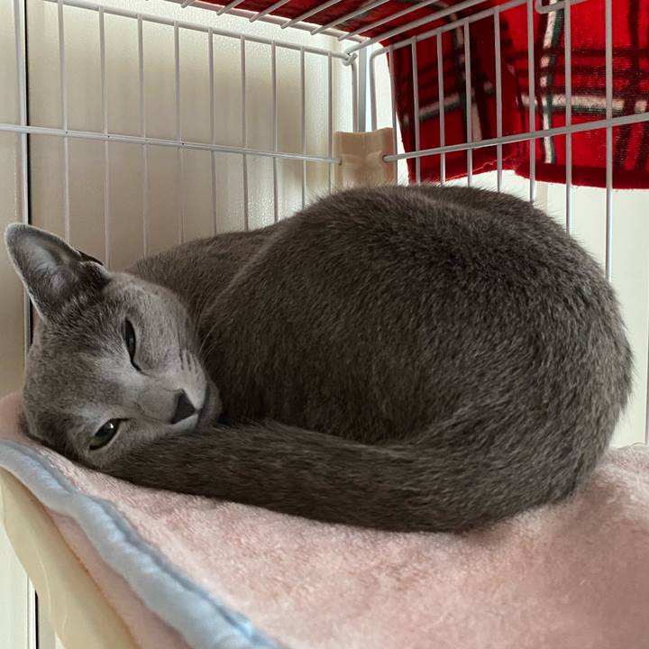 E1d50580 beb7 4a5b ba0a f13913bb3645 1622090346949