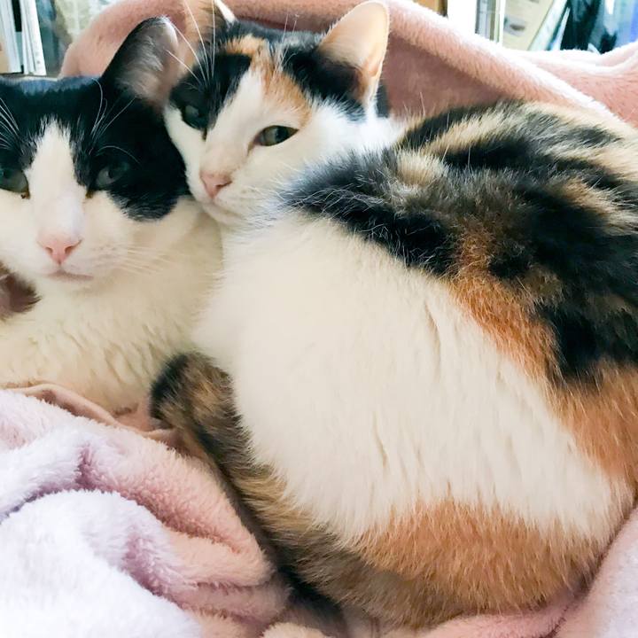 E1d5541b 81b5 4bc6 a00e fa80cd5432fc 1515111170227