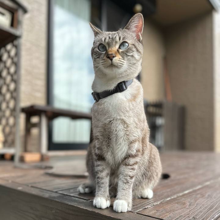 E1d57aad d2fc 442c 98aa 497339983bea 1669087548037