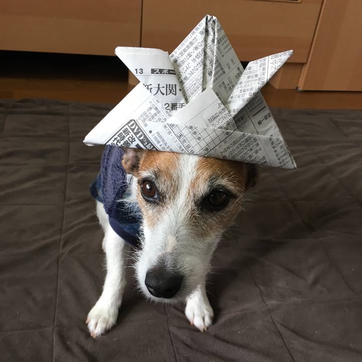 E1d5dcc2 652a 4c39 a3ca 0cf287661d34 1557016722582