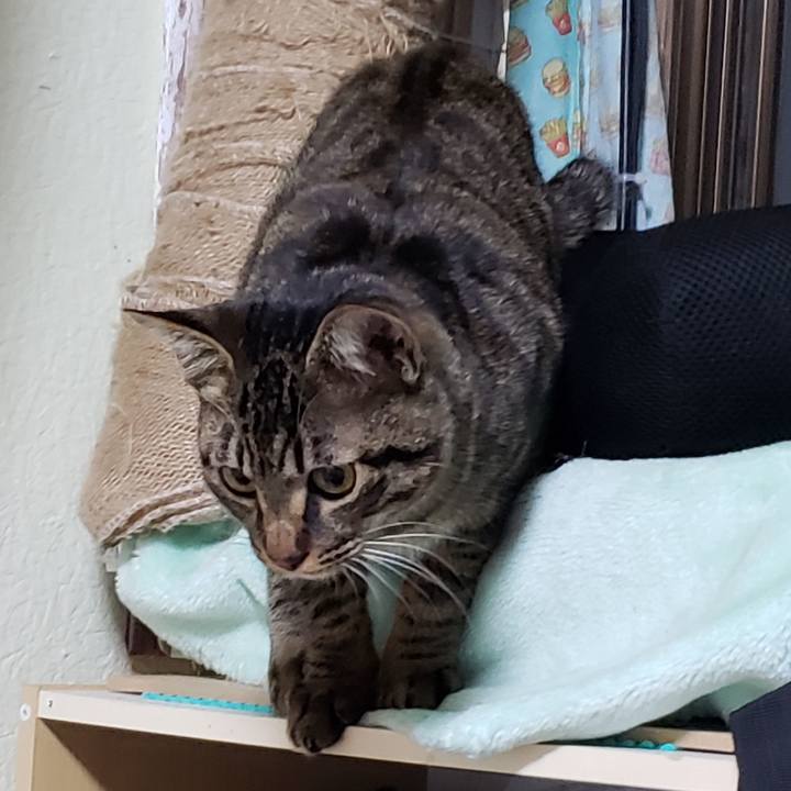 E1d63618 45af 4395 aec3 c1b43512140e 1547803415496