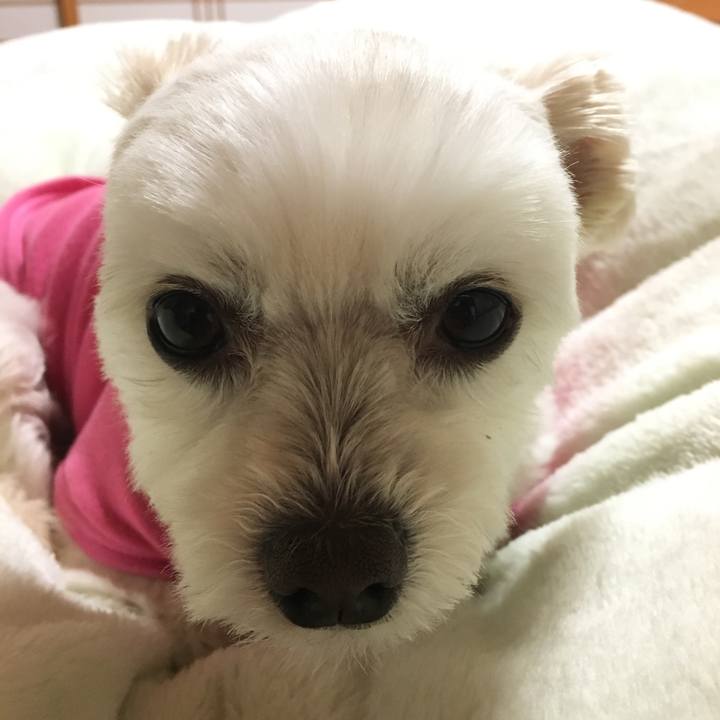 E1d646e8 e31b 4735 bd42 c765195add0c 1520849912403