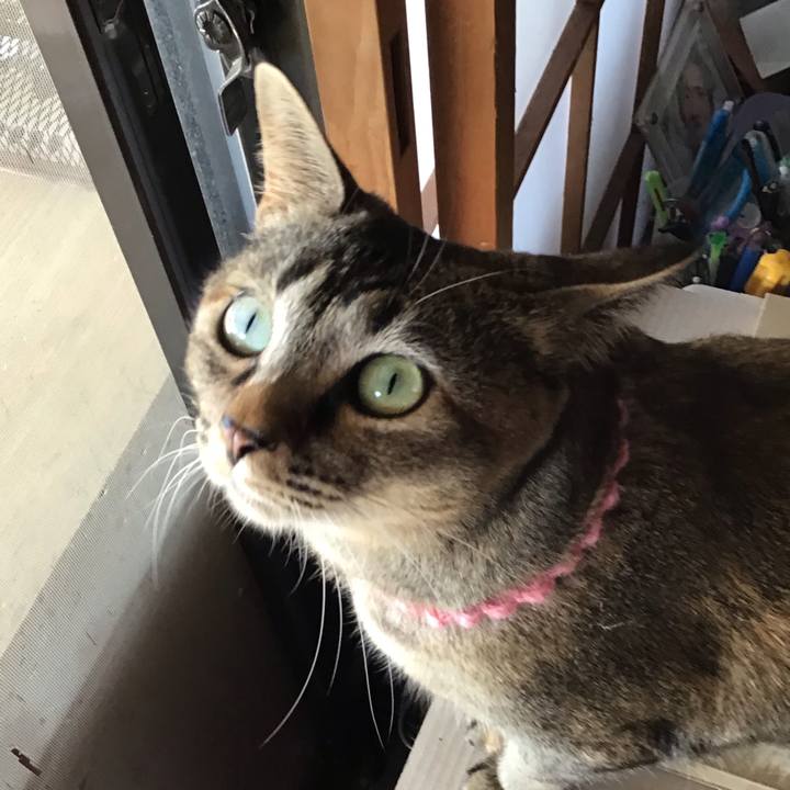 E1d647cc b056 4088 b0c0 c0188ae5f20d 1615012219955