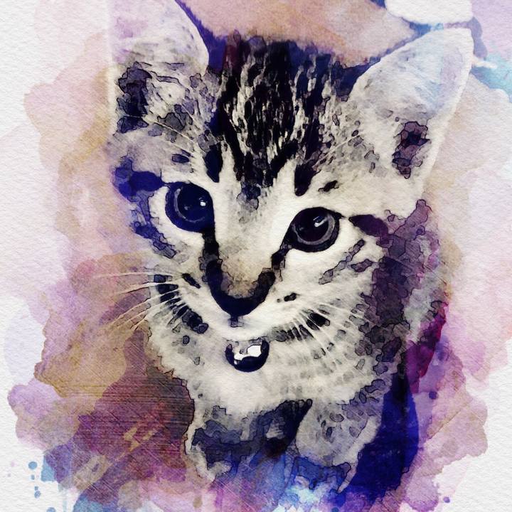 E1d68a1e 8d97 4dfd bd9f 5bd24c783055 1535766444116