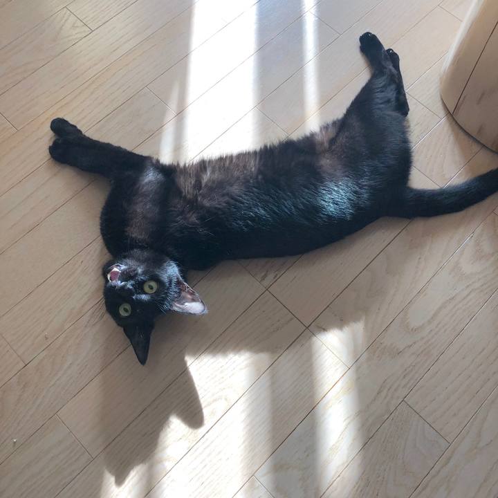 E1d696fb 421f 4d20 964f d617788bfd87 1558735751774