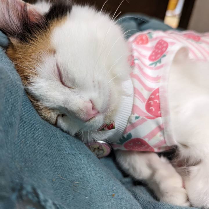 E1d6a302 3aec 4621 a29c 86e27e541348 1763167822696