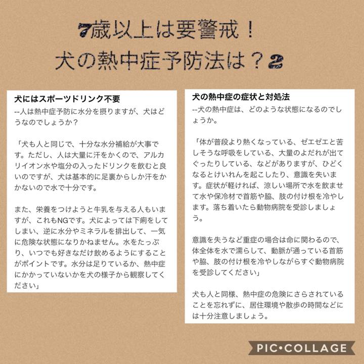 E1d6b2f2 5660 4f44 bd5f a1feaf02e117 1534176960297