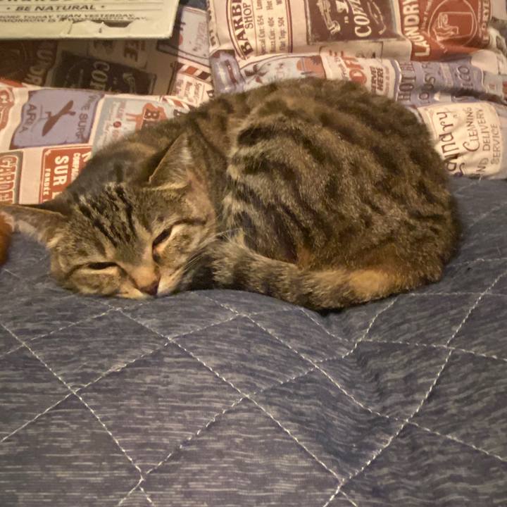 E1d6d4a6 99ae 4b05 bd01 a4d8397f4648 1586540132174