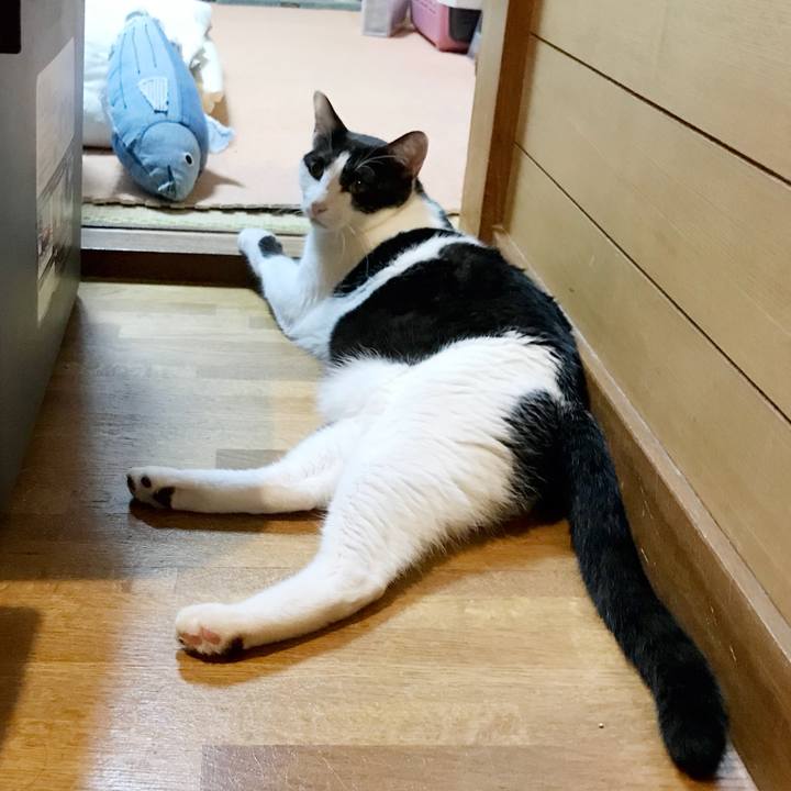 E1d6e686 3cee 40f5 8663 8b3893677b4a 1535986722170