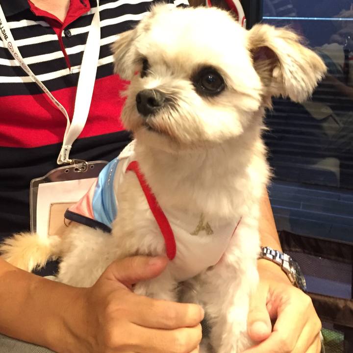 E1d6f056 b2e1 49be afcb d4d9c57424a3 1537134888105