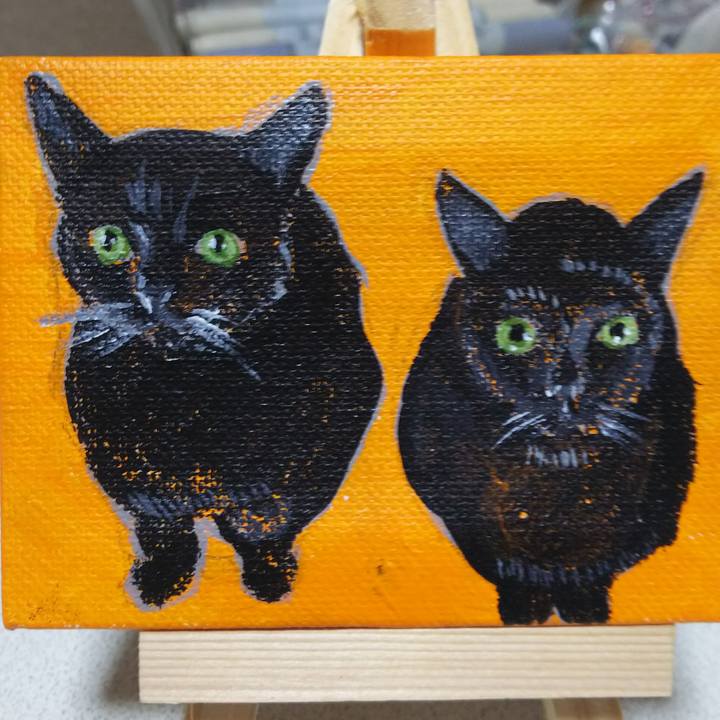 E1d71155 8112 45e1 a9ea 24c4db19b26f 1550308600881