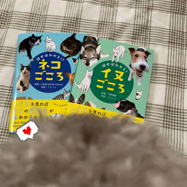 E1d7608f 3cc6 481a 801f d7c5629f593d 1595566100060