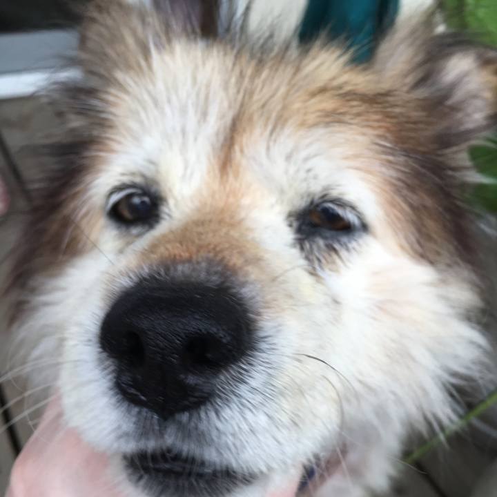 E1d773c5 7940 41f3 924c 203e472d8924 1599963386328