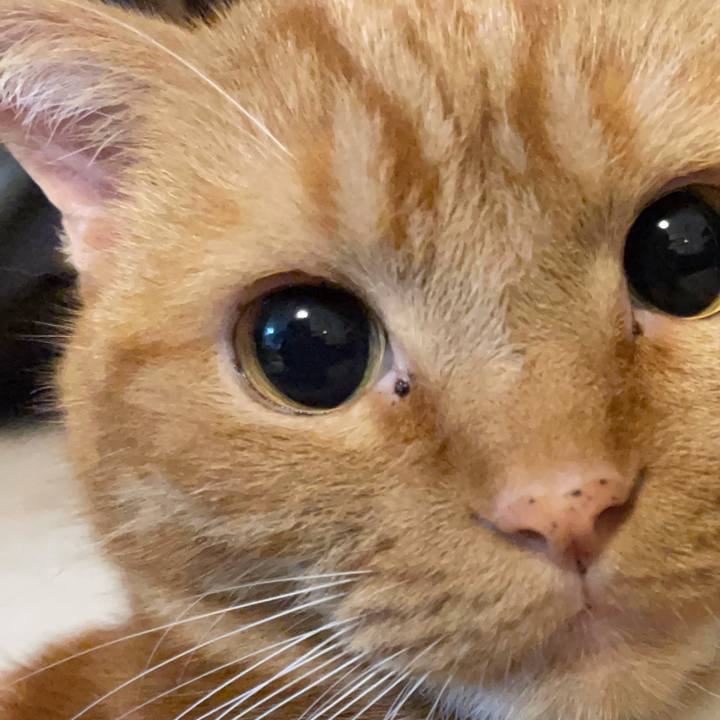 E1d7776e 56b2 49ed bd8b 5f1727f358d1 1629811148018