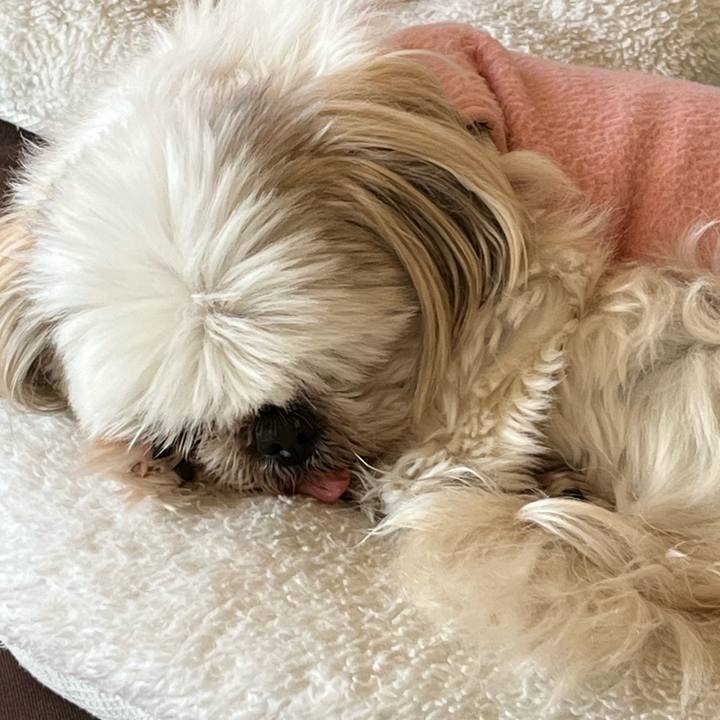 E1d77ca3 e1e5 4e9c a534 1f9e2e36af4d 1707279645479