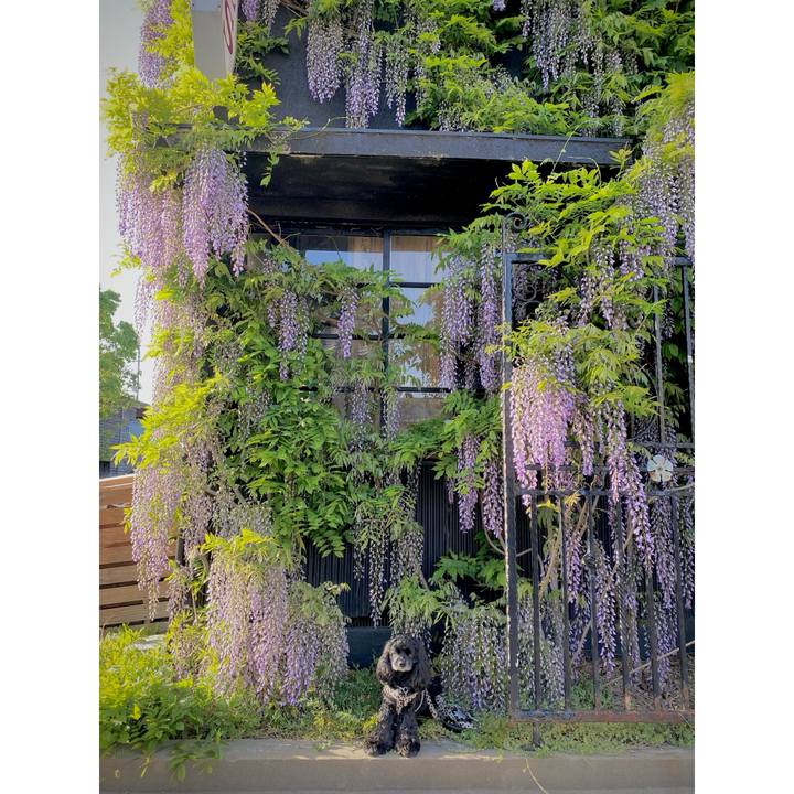 E1d79ae2 68e9 4b8e a9dd 094b11fb0b5e 1713765472311