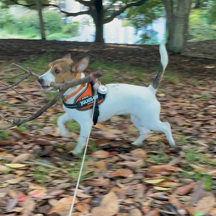 E1d82476 81a8 4c18 b6ea eaa2beac20f4 1694325005498