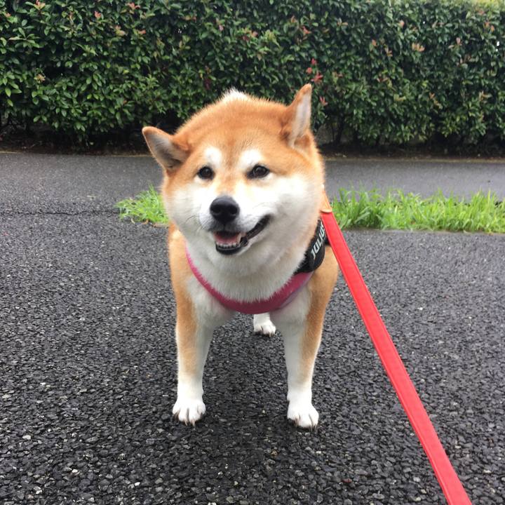 E1d89ec8 e80e 4061 a26d 1da4f7b02137 1595047335506