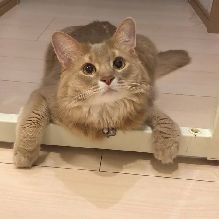 E1d8a046 c9cd 42cb 9bc2 4300886bd4d4 1599953944551