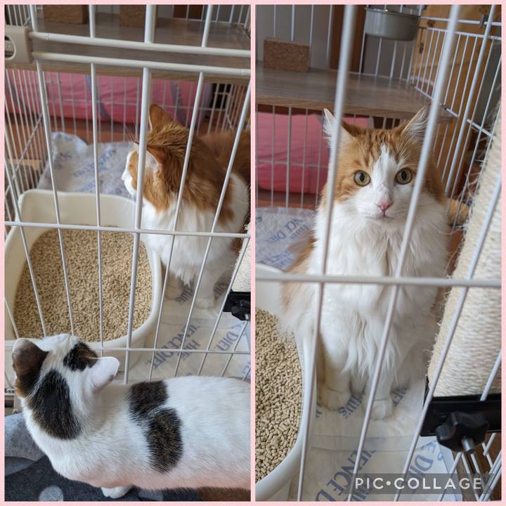 E1d8b052 7df2 438b 8788 452362b476bd 1700364401589