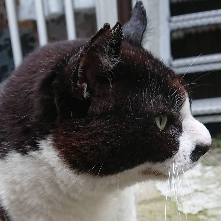 E1d8c8fd 1a40 4644 843d 78f7c4cb749d 1655533973607