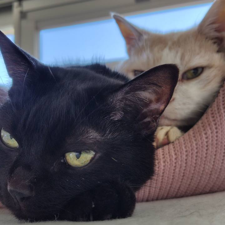 E1d9824e 54ed 402c a01c e6558da85b1f 1749075988389