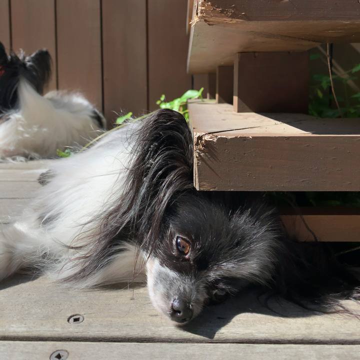 E1d9b946 e070 443b 9df8 6705310fa395 1560381679885