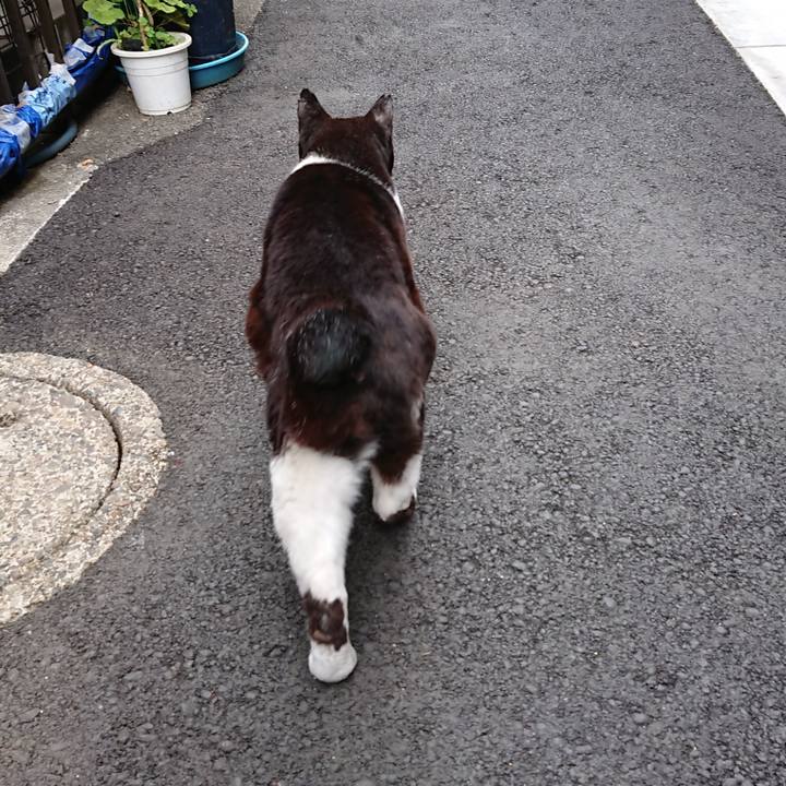 E1d9f08b 05a4 44be b2c0 713910dade32 1616212432217