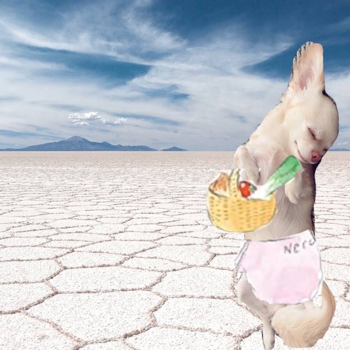 E1da0723 4a74 4496 8630 2da9af3d410c 1695815293061