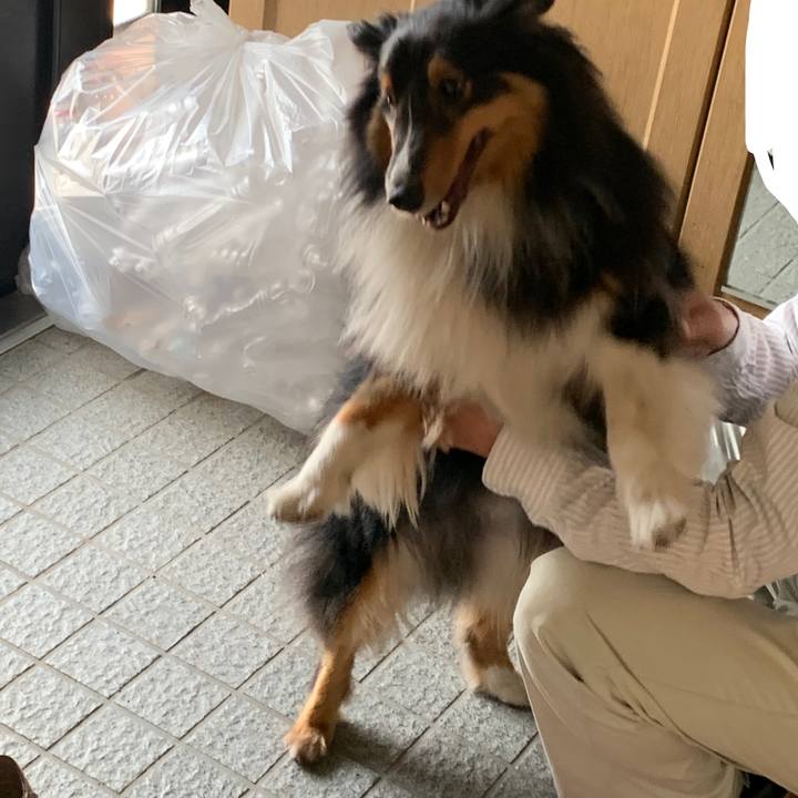 E1da6af6 13ec 4620 9643 4cdce10446b1 1590962294791