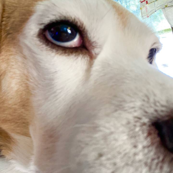 E1dad849 c420 4405 aef2 ce8b93deaaaf 1609734007906