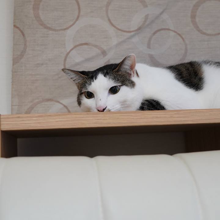 E1dae286 d396 4eda 97c0 87c5102d0284 1568210002426