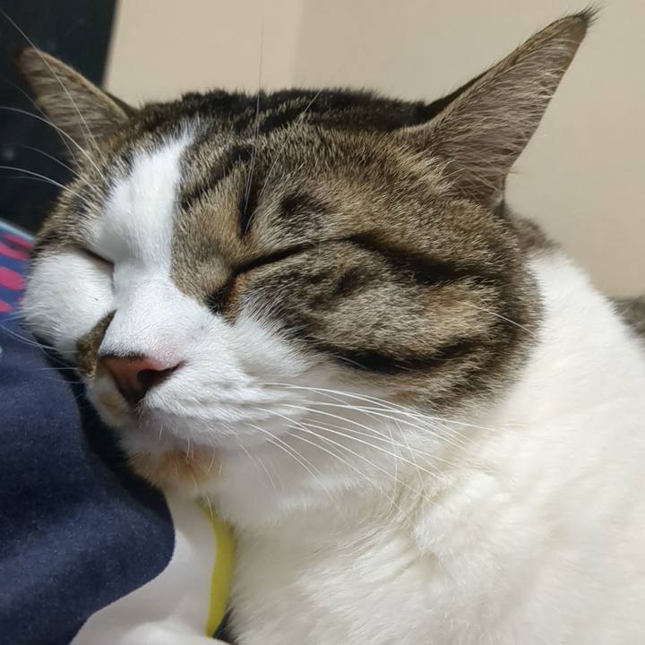 E1db1b80 7e56 4a12 8f32 fccc779f0bf7 1692431165213