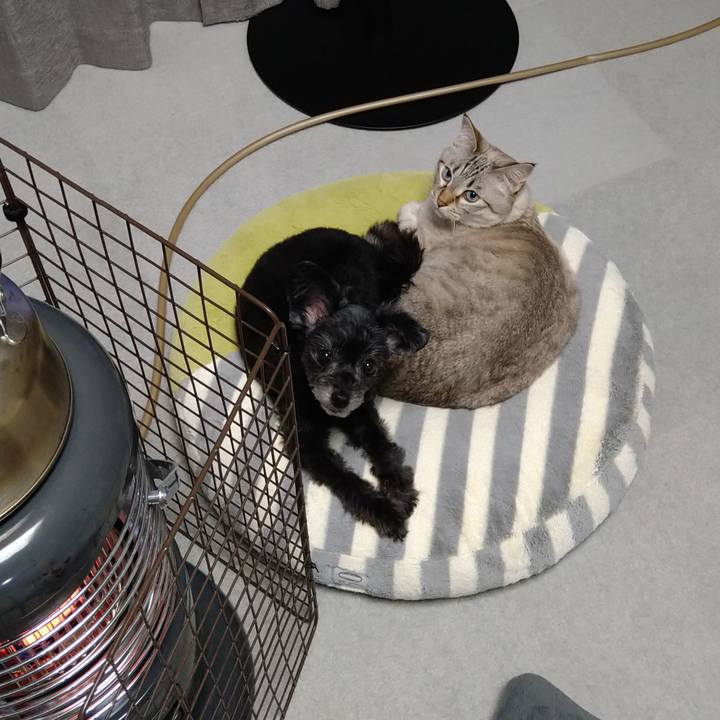 E1db421a dcaa 4294 a6e2 72d0c9c1f348 1670326330714