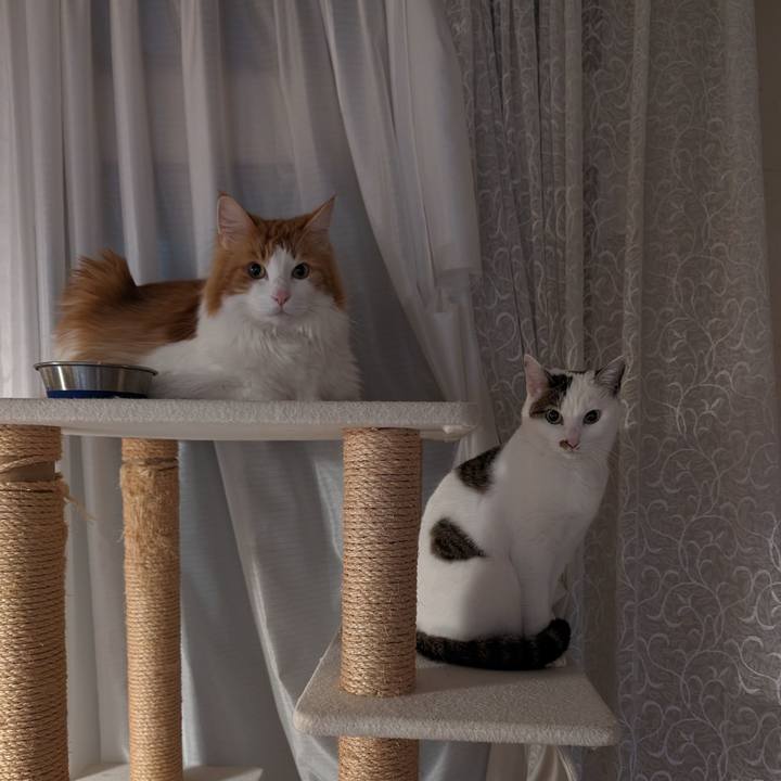 E1db53bd 65a6 4dc7 9555 a11ad439583b 1709992992967