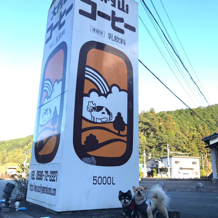 E1db6417 aecc 400a 9f89 0b9dad426a75 1578730186805