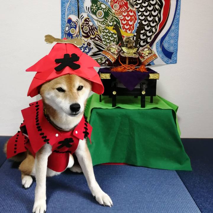 E1db66a4 9a93 4670 b3c0 fa3357200c3c 1682829737367